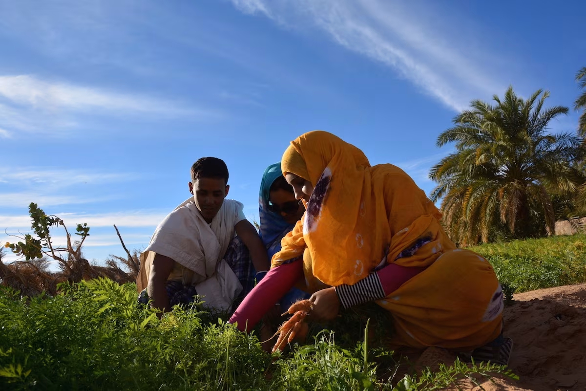 Dal Banco d'Arguin ai confini dell'Adrâr mauritaniano